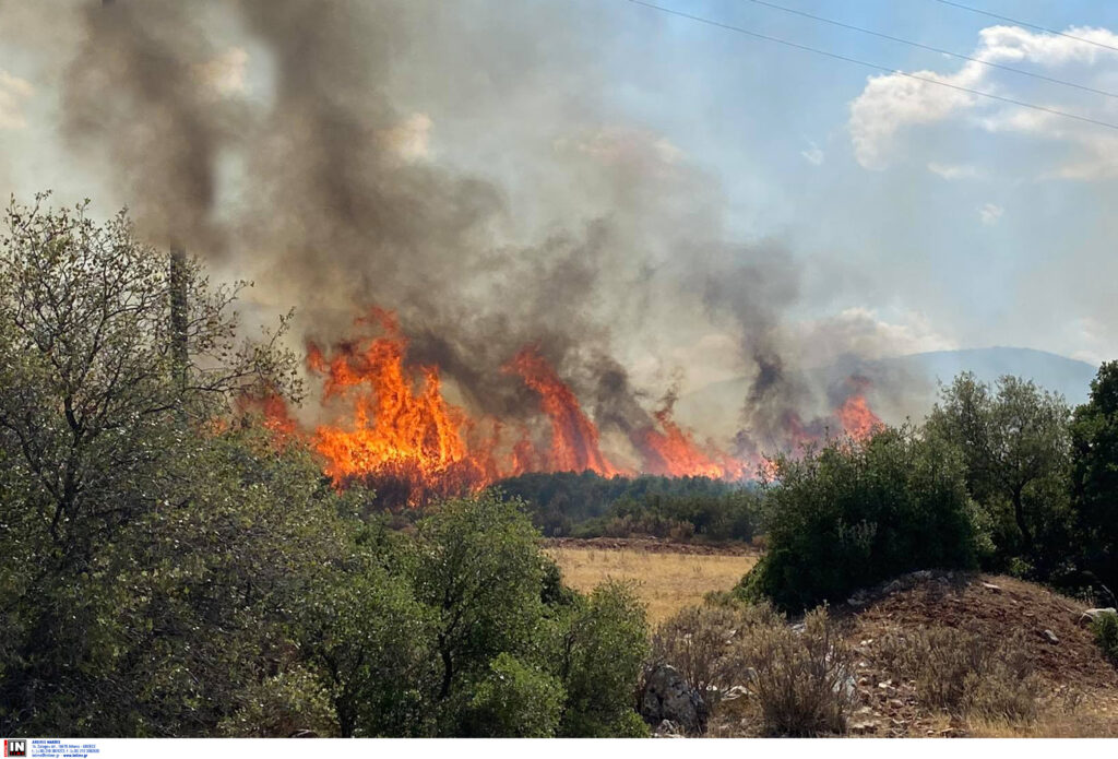 Μάχη με τις φλόγες: 45 πυρκαγιές μόνο τις τελευταίες ώρες – Αναλυτικά η εικόνα ανά πύρινο μέτωπο