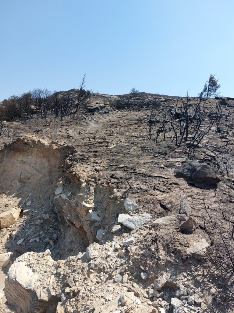 Εφορεία Αρχαιοτήτων: Ζημιές από τη φωτιά στη Β.Α. Αττική σε Οινόη Μαραθώνα, Καλέτζι – Ποια η κατάσταση στους υπόλοιπους αρχαιολογικούς χώρους