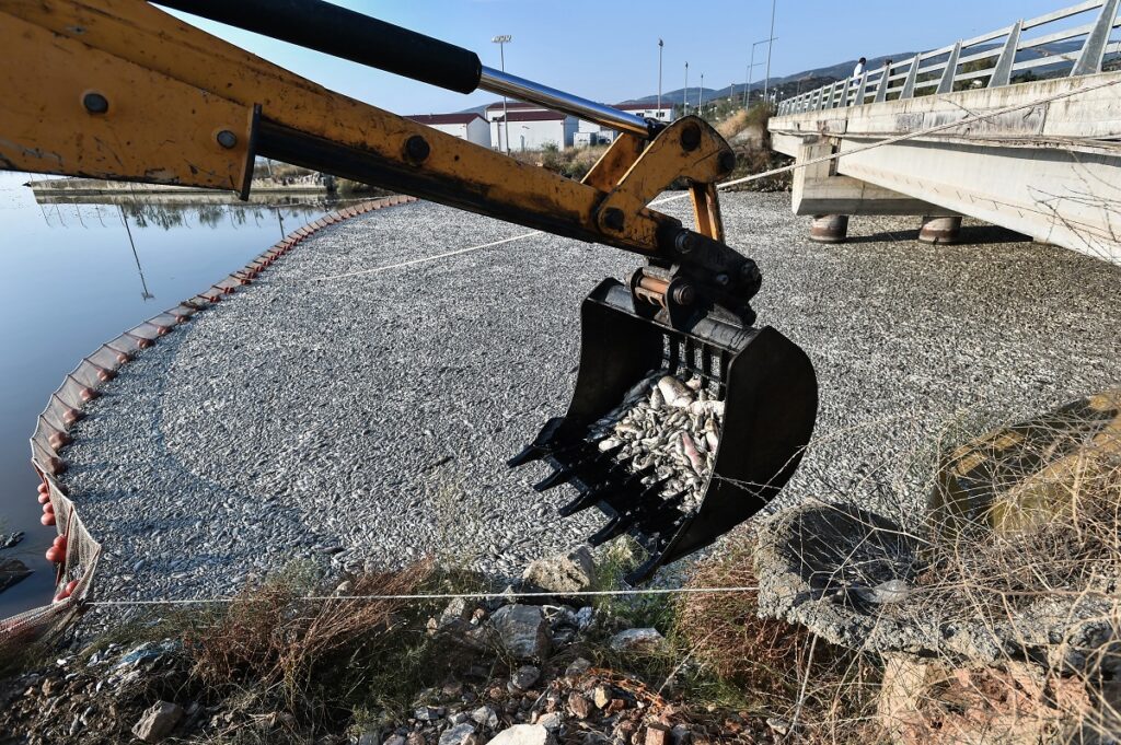 Π. Βαρελίδης στo ΕΡΤNews για νεκρά ψάρια: Το θέμα οδεύει προς επίλυση, πώς ξεκίνησε το πρόβλημα