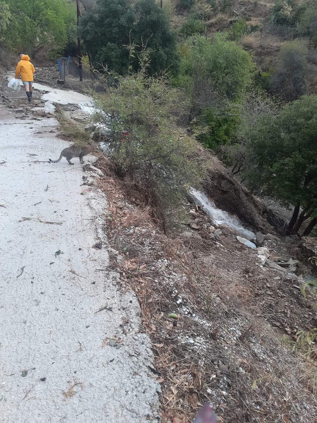 Κάτοικοι του Φυτόκου διαμαρτύρονται για  υποδομές που δεν αποκαταστάθηκαν μετά τις πλημμύρες