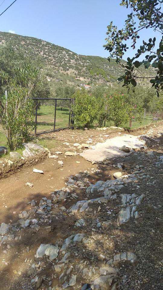 Κάτοικοι του Φυτόκου διαμαρτύρονται για  υποδομές που δεν αποκαταστάθηκαν μετά τις πλημμύρες